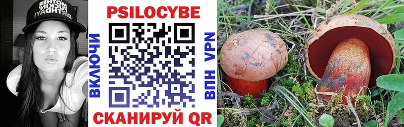 Галлюциногенные грибы мицелий  Томск 