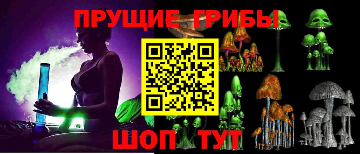 Галлюциногенные грибы Psilocybine cubensis Томск