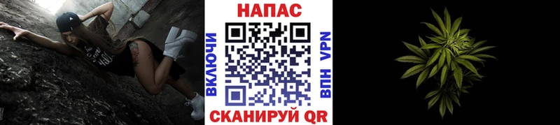 kraken как войти  Томск  Каннабис ГИДРОПОН 